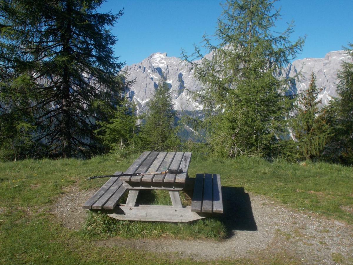 Balcone Sulle Dolomiti Apartment Comèlico Superiore Екстериор снимка